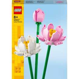 LEGO Icons Les fleurs de lotus (40647)