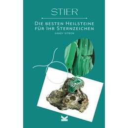 Stier