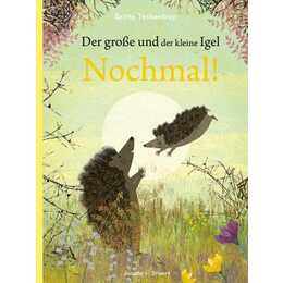 Der grosse und der kleine Igel / Nochmal!