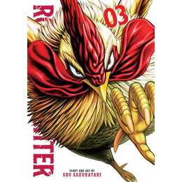 Rooster Fighter 3