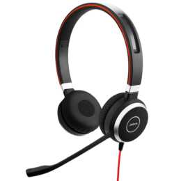 JABRA Casque micro de bureau Evolve 40 (On-Ear, Câble, Argent, Noir)