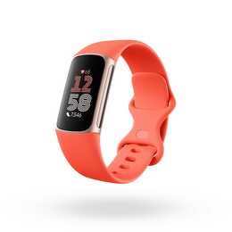 FITBIT Charge 6 (L, S, Coral)