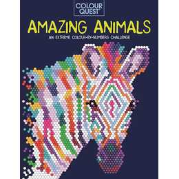 Colour Quest: Amazing Animals