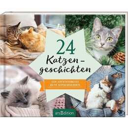 ARS EDITION Buch-Adventskalender