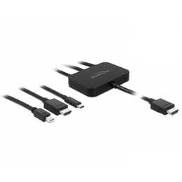 DELOCK Adaptateur vidéo (HDMI A)