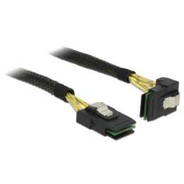 DELOCK Câble de connexion (SAS 2.0, 0.5 m)