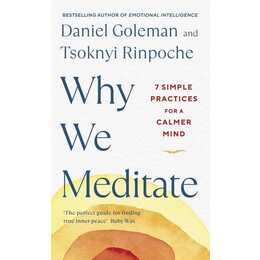 Why We Meditate