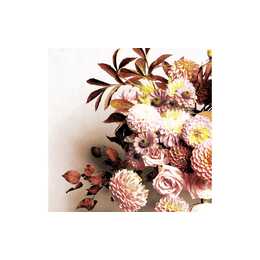 PAPER + DESIGN GMBH TABLETOP Papierserviette Autumn bouquet (33 cm x 33 cm, 20 Stück)