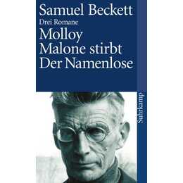 Molloy. Malone stirbt. Der Namenlose