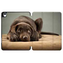 EG Housse (10.9", iPad (10. Gen. 2022), Chiens, Brun)