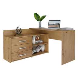 TOP E SHOP table d'ordinateur (120 cm x 50 cm x 76 cm, Brun)