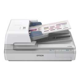 Forza lavoro EPSON DS-700000000