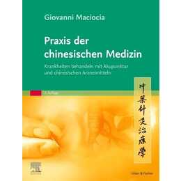 Praxis der chinesischen Medizin