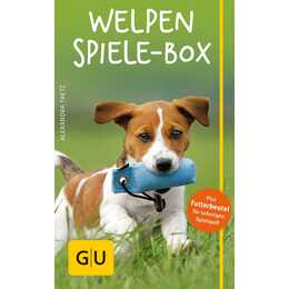 Welpen-Spiele-Box