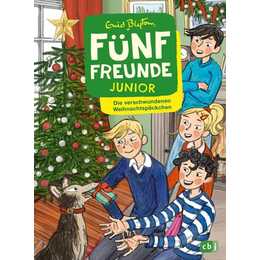 Fünf Freunde JUNIOR - Die verschwundenen Weihnachtspäckchen