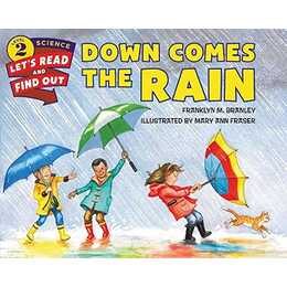 Down Comes the Rain