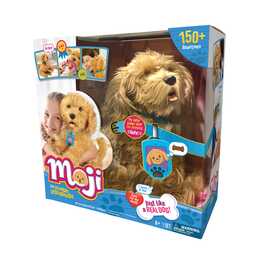 Moji - The Lovable Labradoodle (Brun)