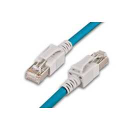 WIREWIN Cavo di rete (RJ-45, 3 m)