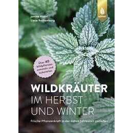 Wildkräuter im Herbst und Winter