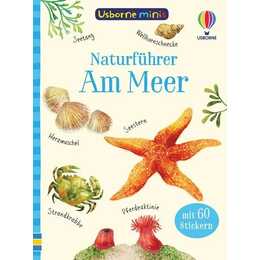 Usborne Minis Naturführer: Am Meer