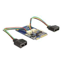 DELOCK Carte d'interface (2 x USB A)