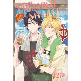 Hitorijime my Hero 12 mit Sammelschuber