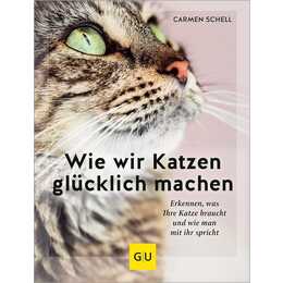 Wie wir Katzen glücklich machen