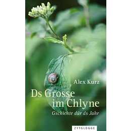 Ds Grosse im Chlyne