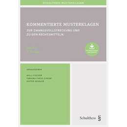 Kommentierte Musterklagen / Kommentierte Musterklagen zur Zwangsvollstreckung und zu den Rechtsmitteln