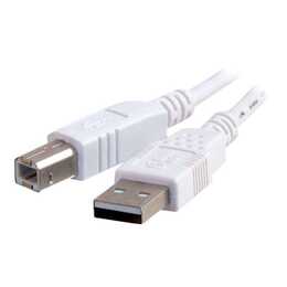 CABLES2GO USB-Kabel (USB Typ A, USB Typ B, 3 m)