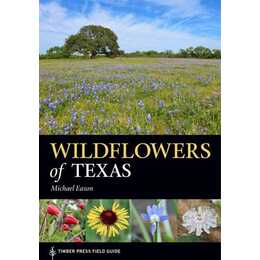 Wildflowers of Texas