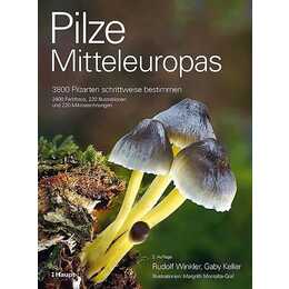 Pilze Mitteleuropas