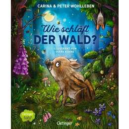 Wie schläft der Wald?