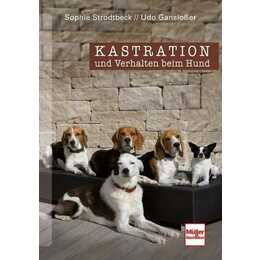 Kastration und Verhalten beim Hund