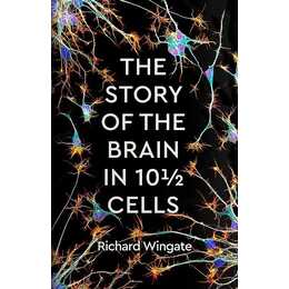 The Story of the Brain in 10½ Cells