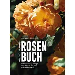 Das große Ulmer Rosenbuch