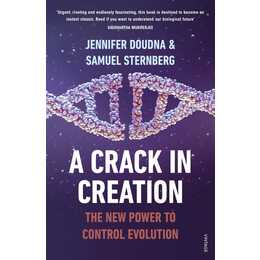 A Crack in Creation