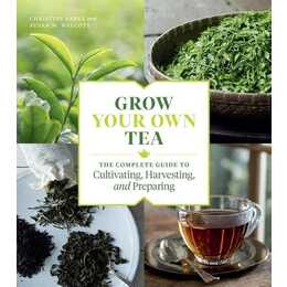 Grow Your Own Tea