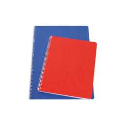 NATURA LINE Carnets (A6, Carreaux)