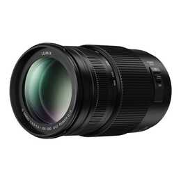 PANASONIC Lumix G Vario 100-300mm F/4-22 (M43-Mount)