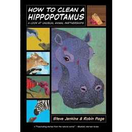 How to Clean a Hippopotamus