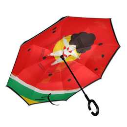 EG Parapluie-canne (110 cm)