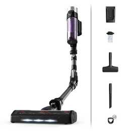 ROWENTA Stab- & Handstaubsauger (250 W)
