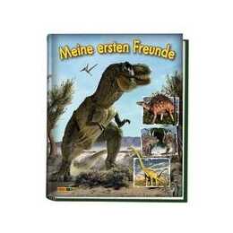 Dinosaurier Kindergartenfreundebuch