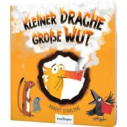 Kleiner Drache Finn: Kleiner Drache, grosse Wut. Pappebuch über Wut und Gefühle