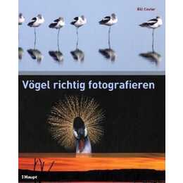 Vögel richtig fotografieren