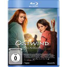 Ostwind 4: Aris Ankunft (DE)