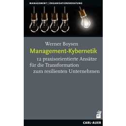 Management-Kybernetik