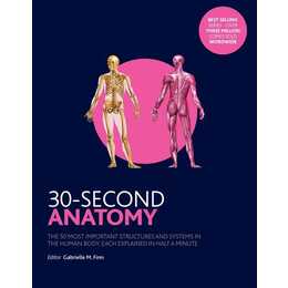 30-Second Anatomy