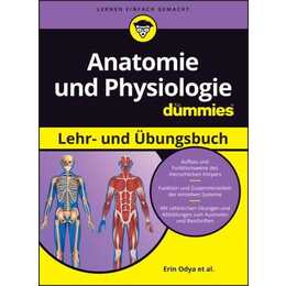 Anatomie und Physiologie Lehr- und Übungsbuch für Dummies
